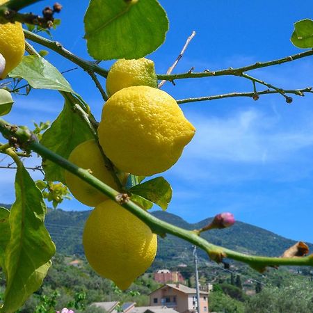 Casa Limoni Villa Monterosso al Mare Ngoại thất bức ảnh